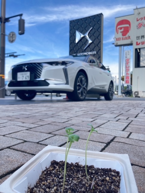 すくすく🍀