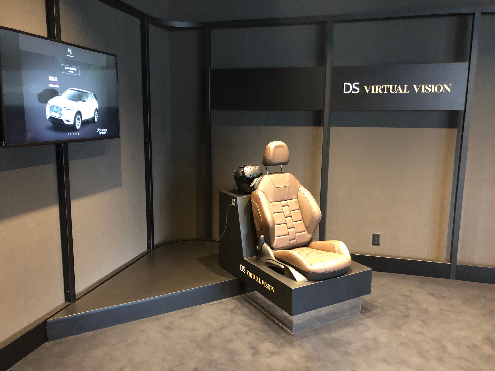 DS Virtual Vision