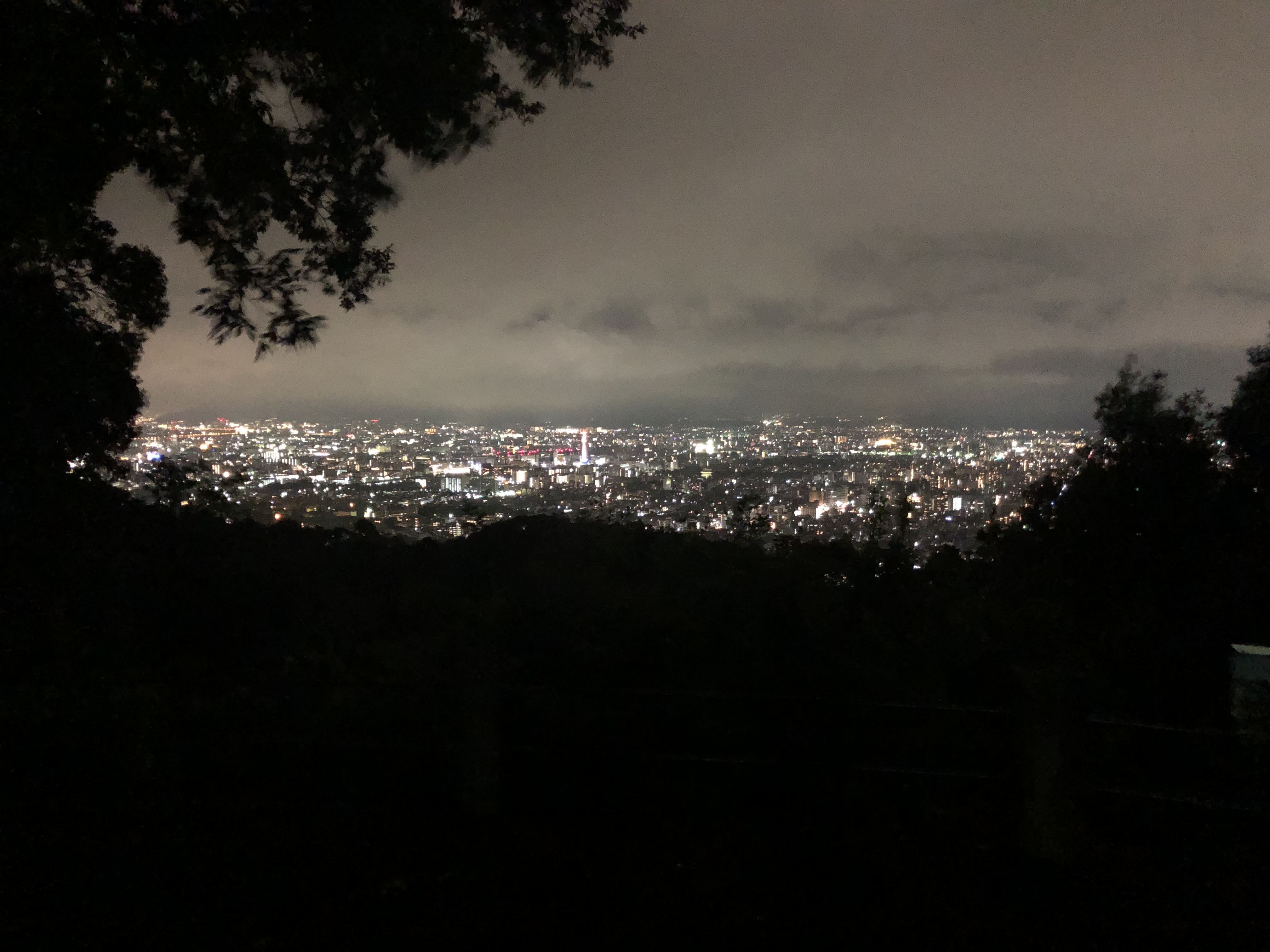 ドライブ