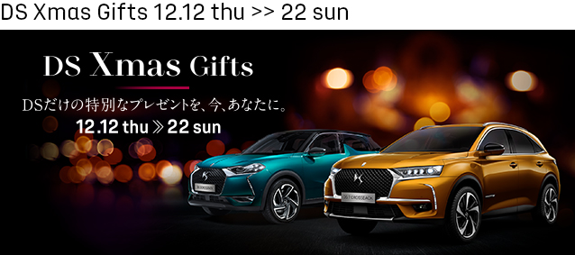 DS Xmas Gifts
